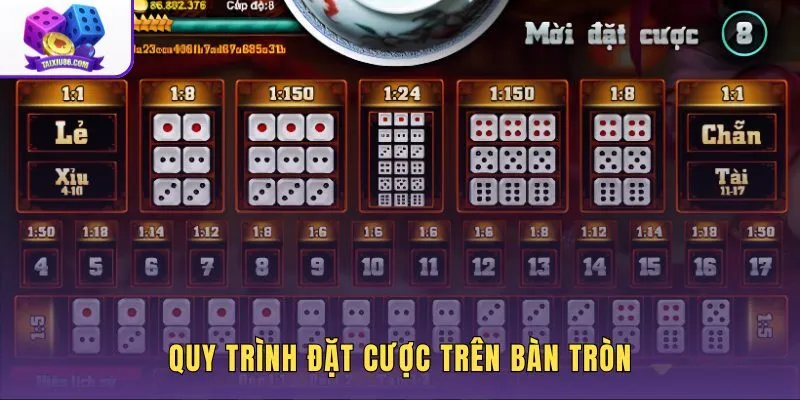 quy-trinh-dat-cuoc-tren-ban-tron