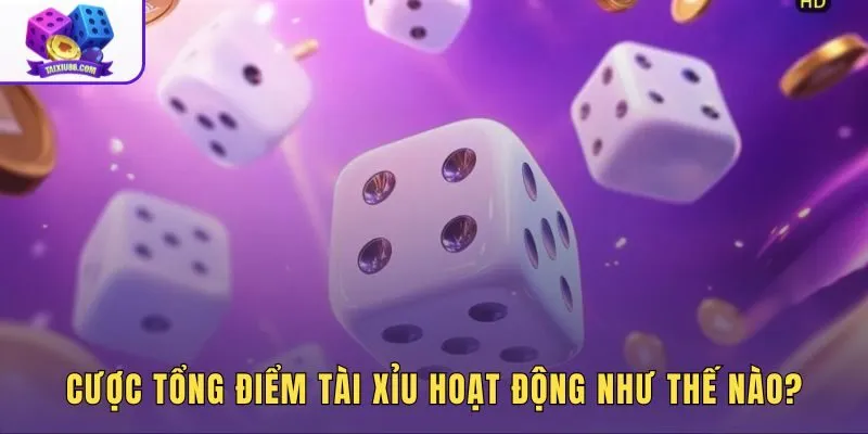 Cách chơi cược tổng điểm tài xỉu và kiểm tra kết quả trên bàn Sicbo